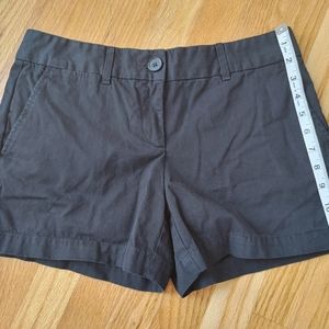 Loft Shorts Black Size 4